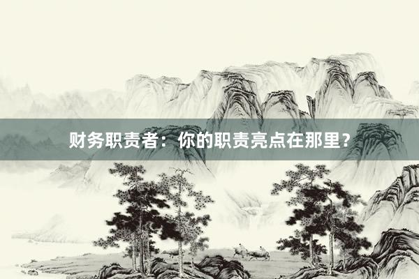 财务职责者：你的职责亮点在那里？