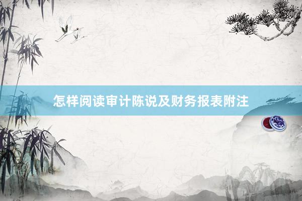 怎样阅读审计陈说及财务报表附注