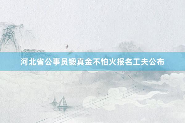 河北省公事员锻真金不怕火报名工夫公布