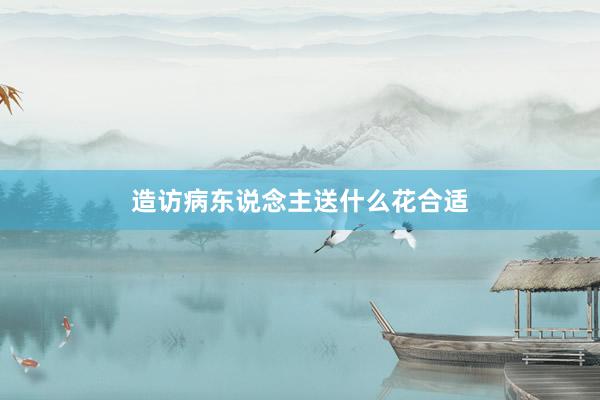 造访病东说念主送什么花合适